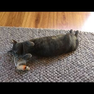 Meet your Posher, Grace